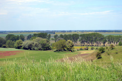 Hill-Ridge Seelow Heights #2