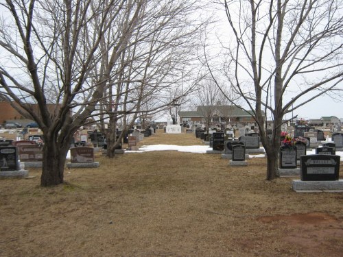 Oorlogsgraven van het Gemenebest St. Jerome's Roman Catholic Cemetery #1