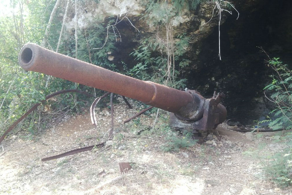 Coastal Defense Gun Tinian #1