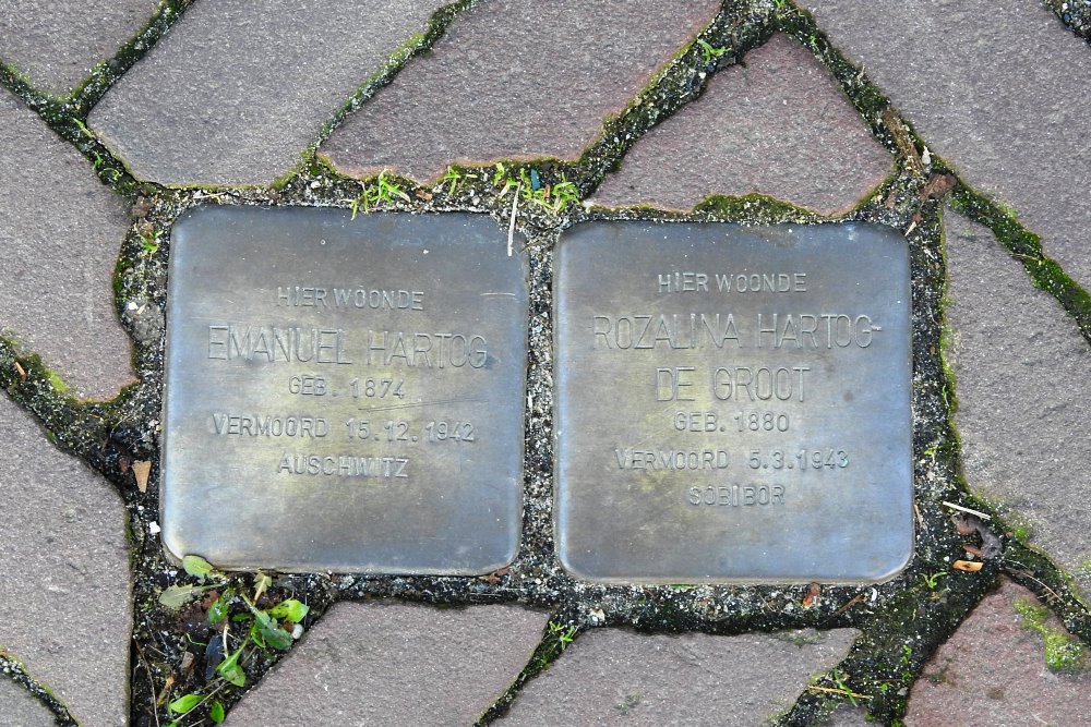 Stolpersteine Steegoversloot 171 #1