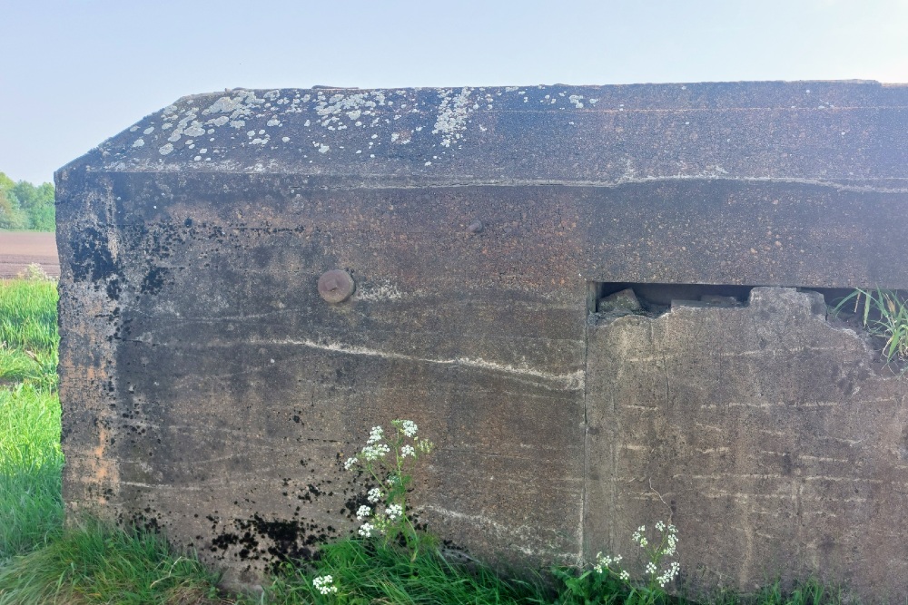 Casemate Peel-Raamstelling S (3a) 445 #4