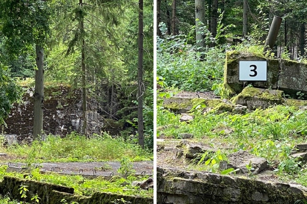 Führer Hoofdkwartier 