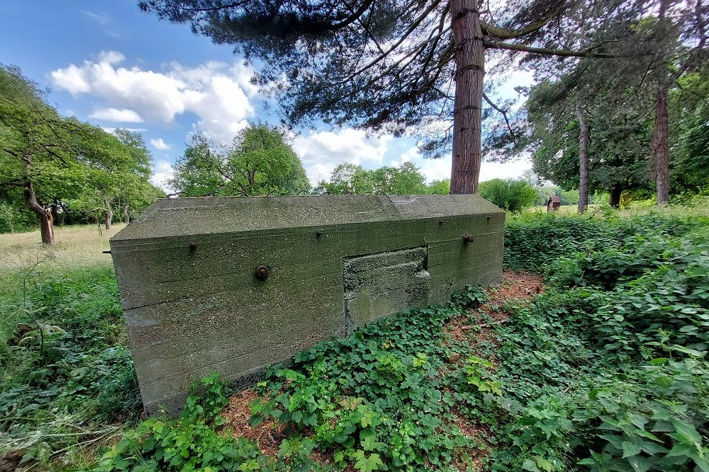 Peel-Raamstelling - S-casemate Grave #1