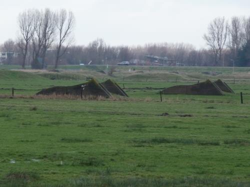 Group Shelter Spaarndam #1