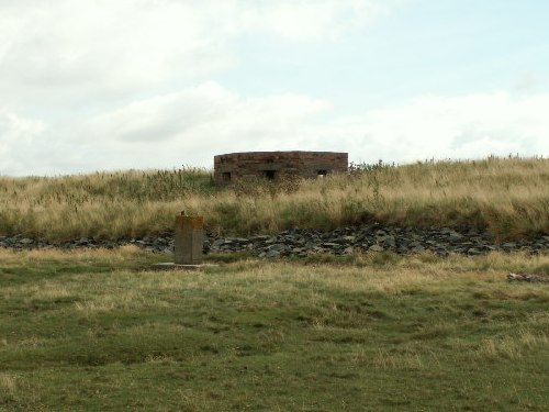 Bunker FW3/24 Llancynfelyn #1