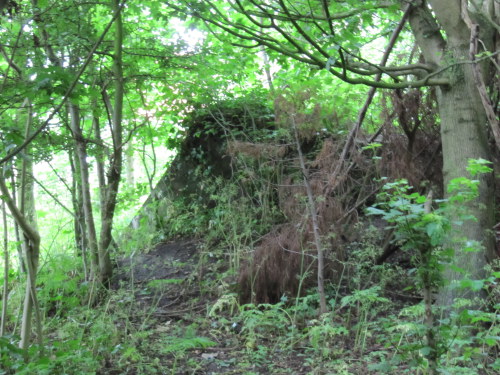Ammunitionbunker 2 type MG 53 Kleverskerke #4