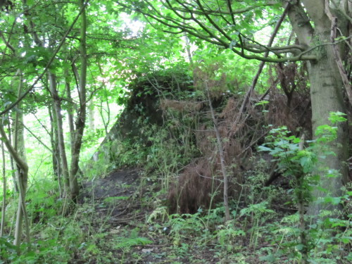 Ammunitionbunker 2 type MG 53 Kleverskerke #4