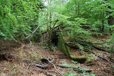 Maginot Line Casemate Biesenberg (5) #1