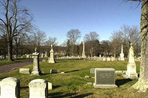 Commonwealth War Grave Boston Mt Hope Cemetery #1