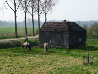 Groepsschuilplaats Type P Spijkse Kweldijk #1