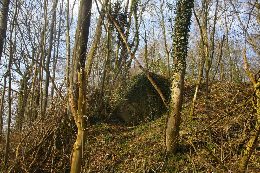 Westwall - Bunker Restanten Augustiner Wald #2