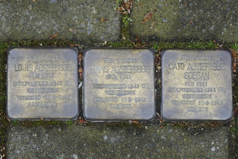 Stolpersteine Beatrixlaan 3 #1