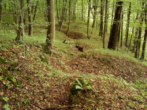 Árpád Line - Trench #2