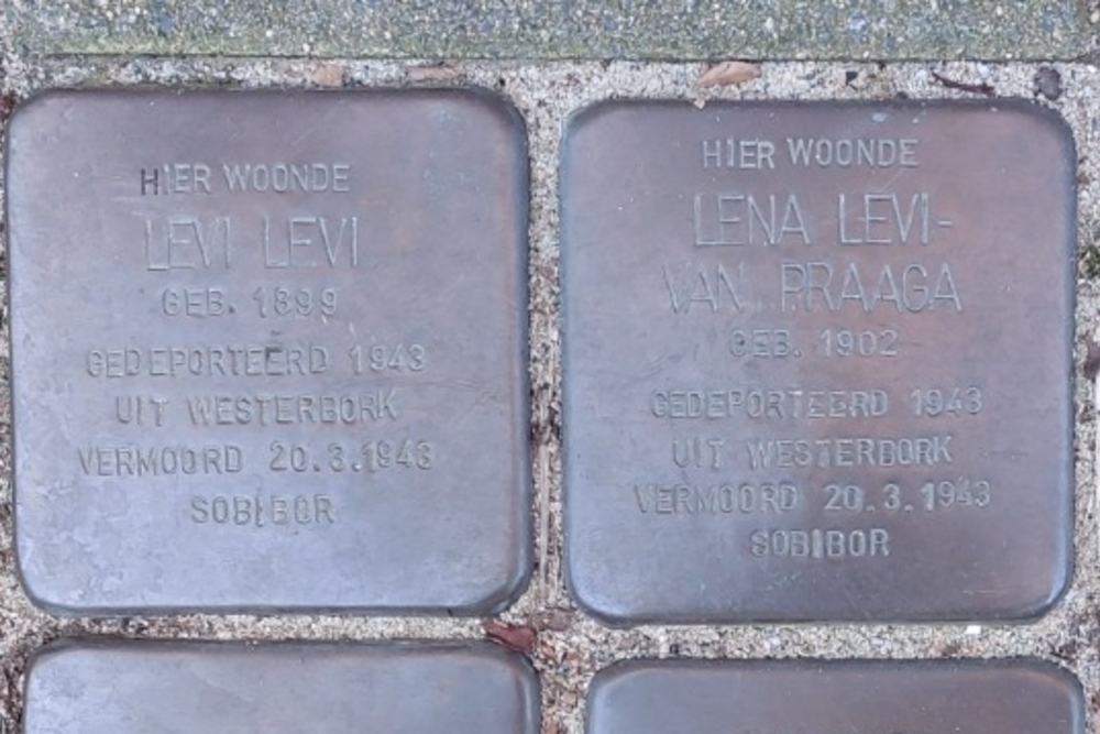 Stumbling Stones Van Vlooswijkstraat 9b #3