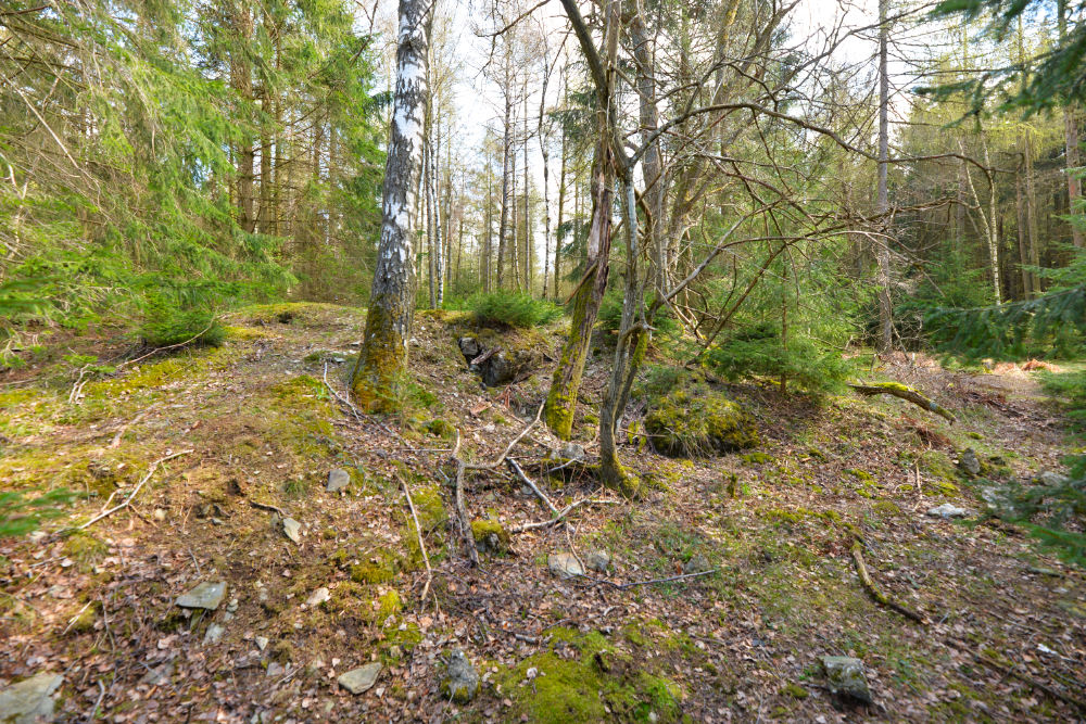 Bunker P110 Ochsenkopf #3