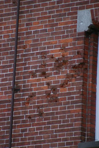 Bullet Impacts Villa Heymans #4