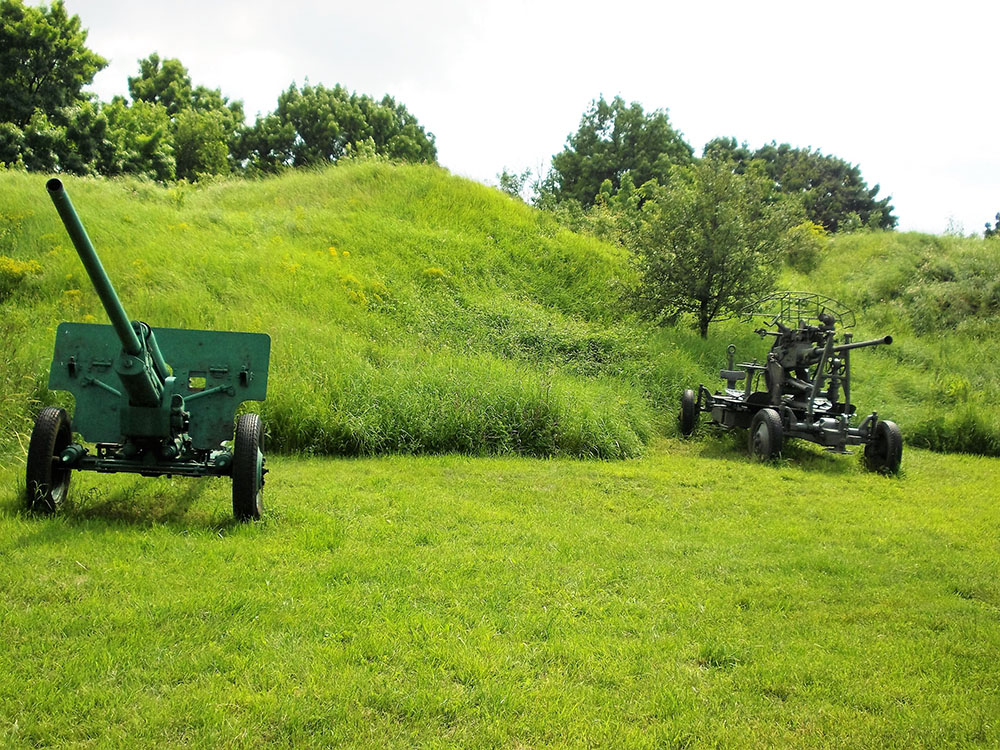 Artillery Pieces Medzhidi Tabiya