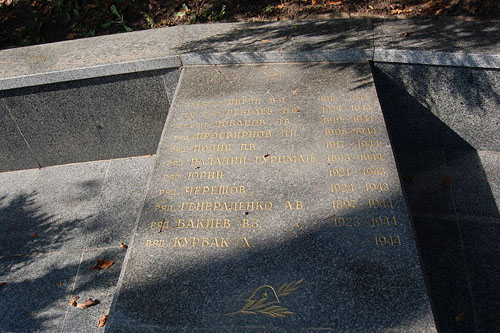 Sovjet Oorlogsgraven Zverynetskiy #2