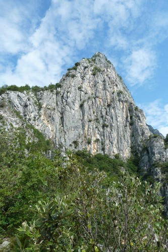 Austro-Hungarian Defence Position Ferrata Susatti #2