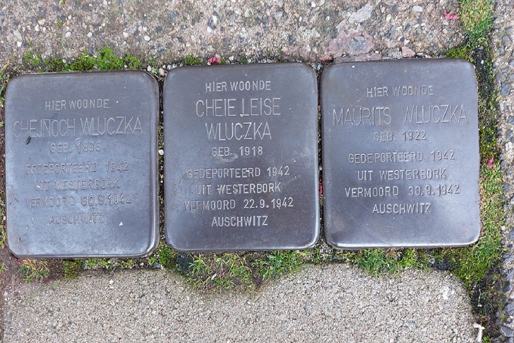 Stolpersteine Pijnackerplein 42b #2