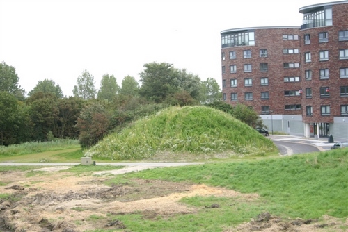 Sttzpunkt Rebhuhn Flushing / Bunker type 668