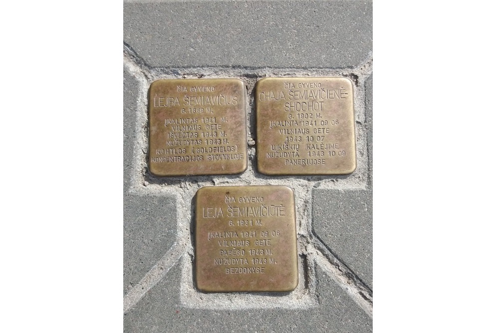 Stolpersteine Vasario 16-osios gatvė 8 / ermuknių gatvė 1 #1