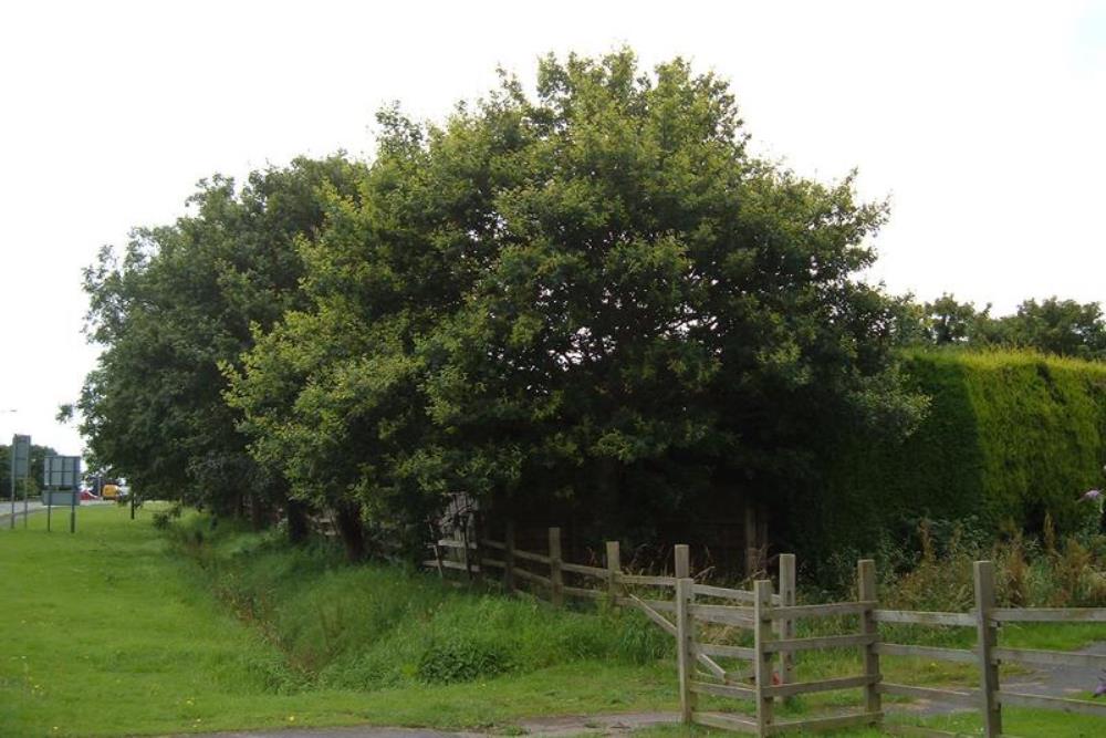 Herdenkingsboom Falkland-oorlog