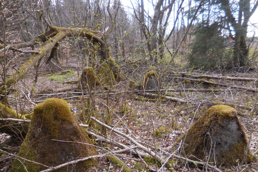 Westwall - Tank Barrier Losheimergraben #2