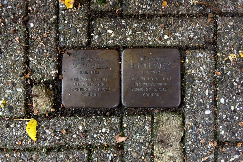 Stolpersteine Cruquiusstraat 9