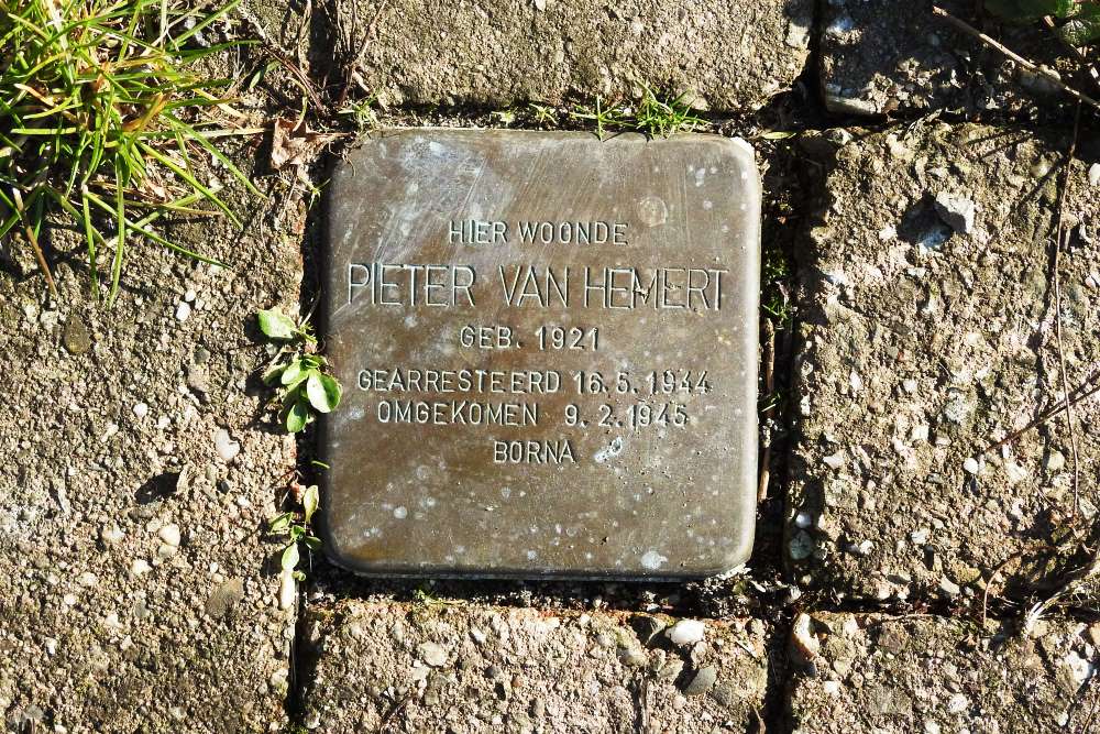 Stolperstein Parallelweg 8 #1