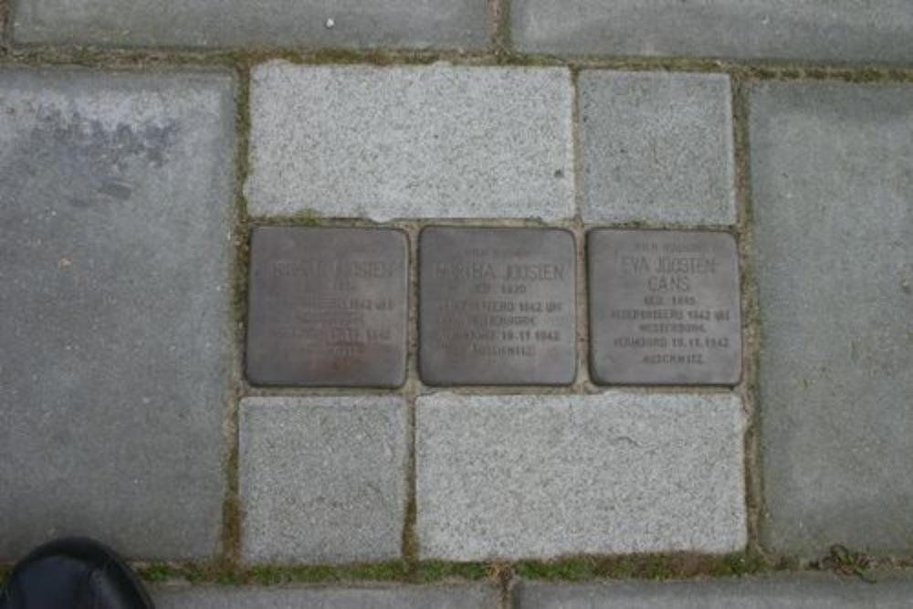 Stolpersteine Esweg 19 #1