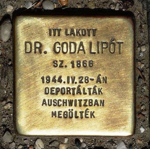 Stolperstein Ady Endre utca 8 #1