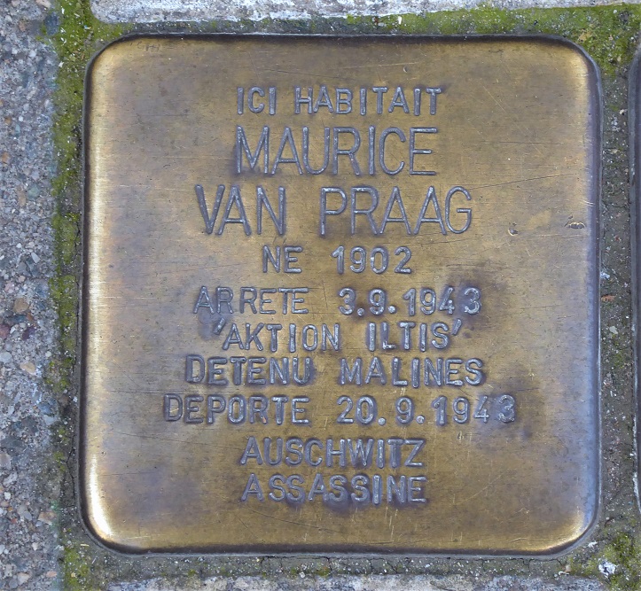 Stolpersteine Rossinistraat 41 #2