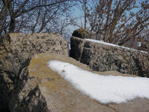 Stalin Line - Remains Casemate No. 251 #2