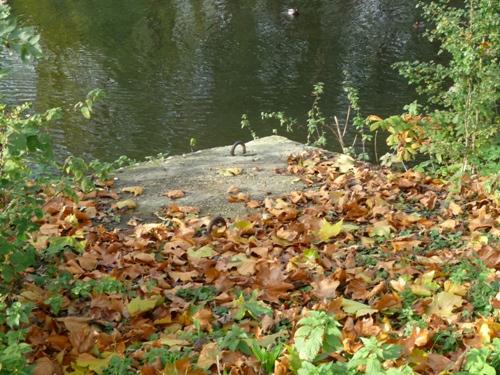 Tank Barrier Fort Blauwkapel #3