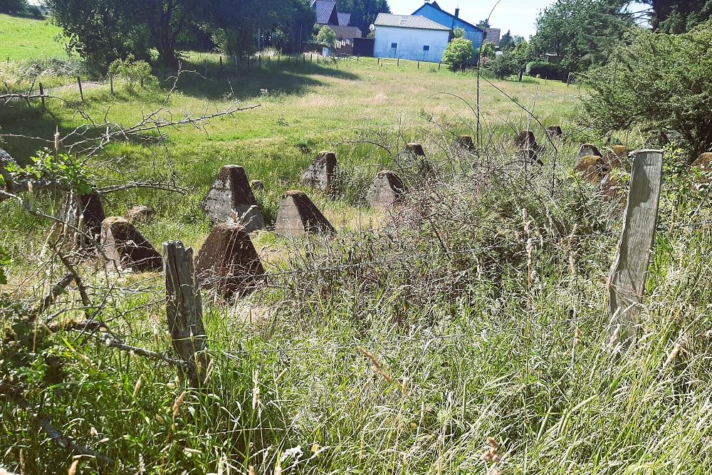 Westwall - Tank Barrier Udenbreth #1