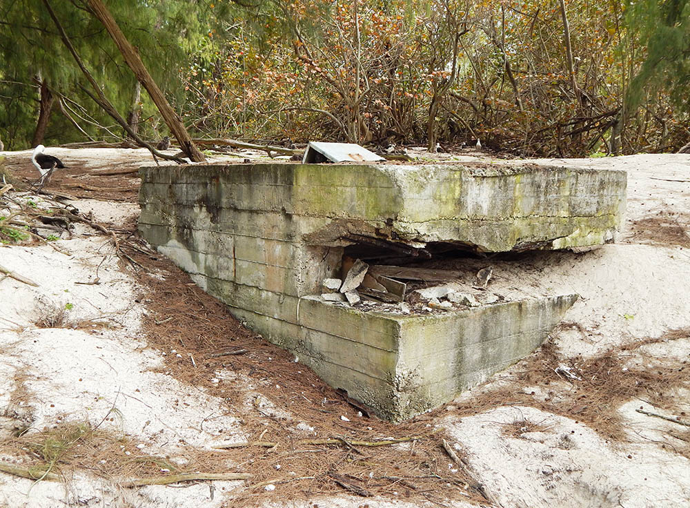 Bunker Midway