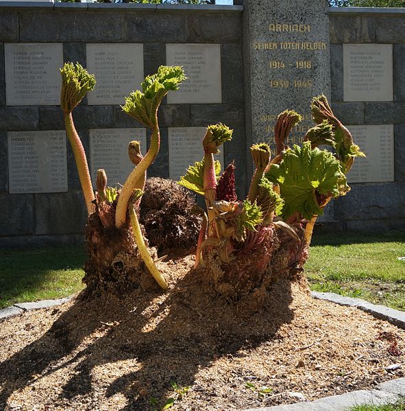 Oorlogsmonument Arriach #1