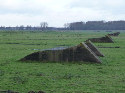 Group Shelter Spaarndam #2