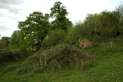 Bunker FW3/25 Bettws Newydd #2