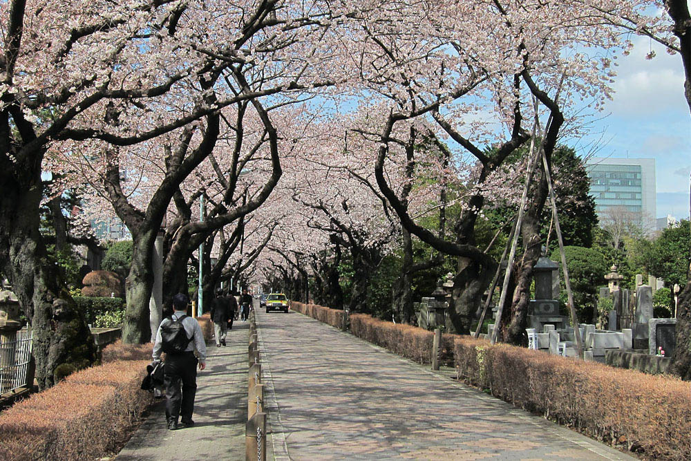 Aoyama Cemetery