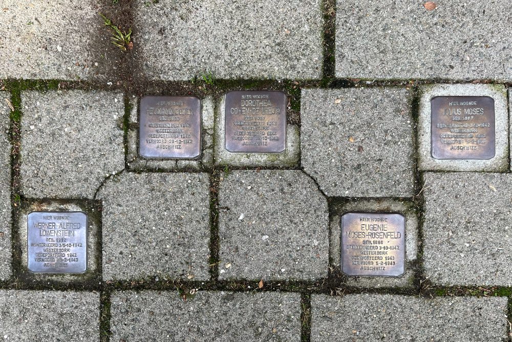 Stumbling Stones Hogelandsingel 136 #1