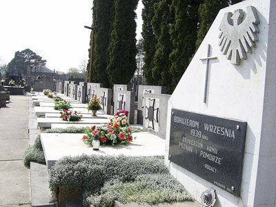 Poolse Oorlogsgraven Brzozw Stary #1