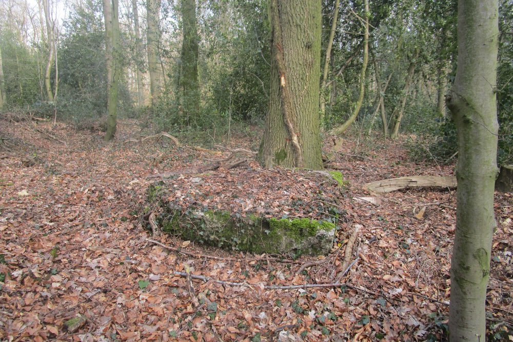 Westwall - Bunker Restanten Augustiner Wald #3