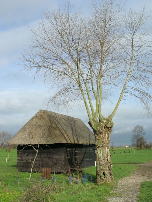 La Plaine au Bois Memorial Site  - De Heilige Boom - Esquelbecq #2