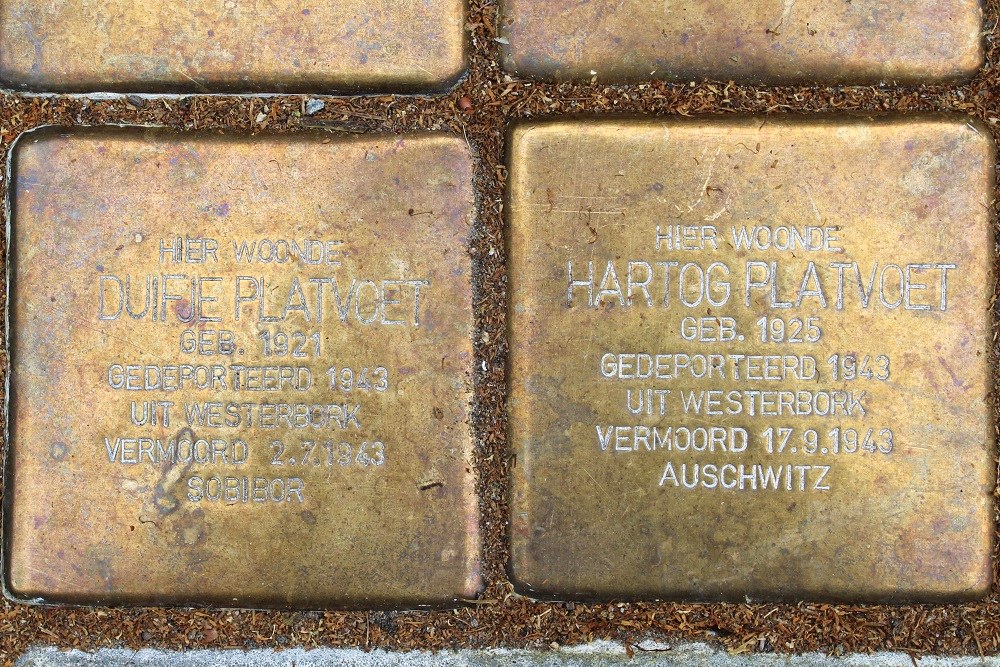 Stolpersteine Galileistraat 44 #3