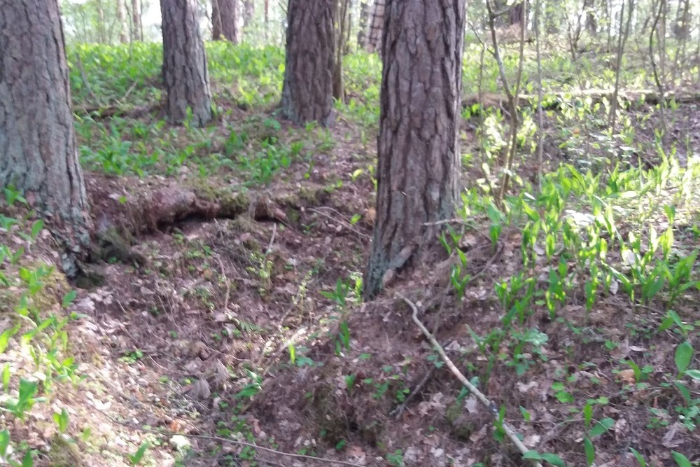 Russian Trenches Dūktos