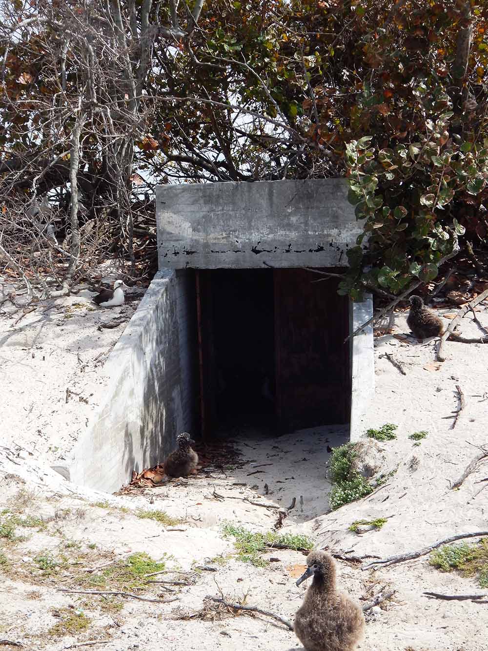 Underground Bunker