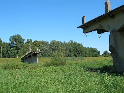 Remains Bridge Forst