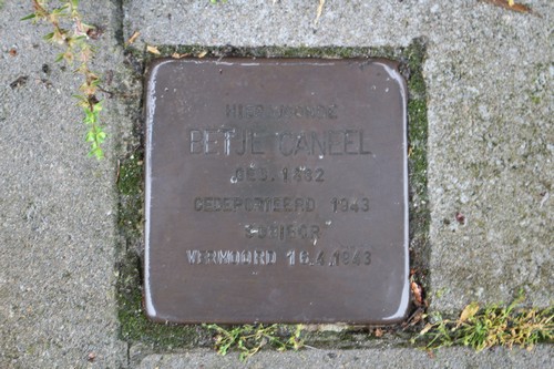 Stolperstein Pioenroosstraat 11 #3